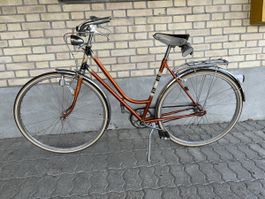 Damenrad Cilo Stadtrad vintage Citybike Velo Fahrrad