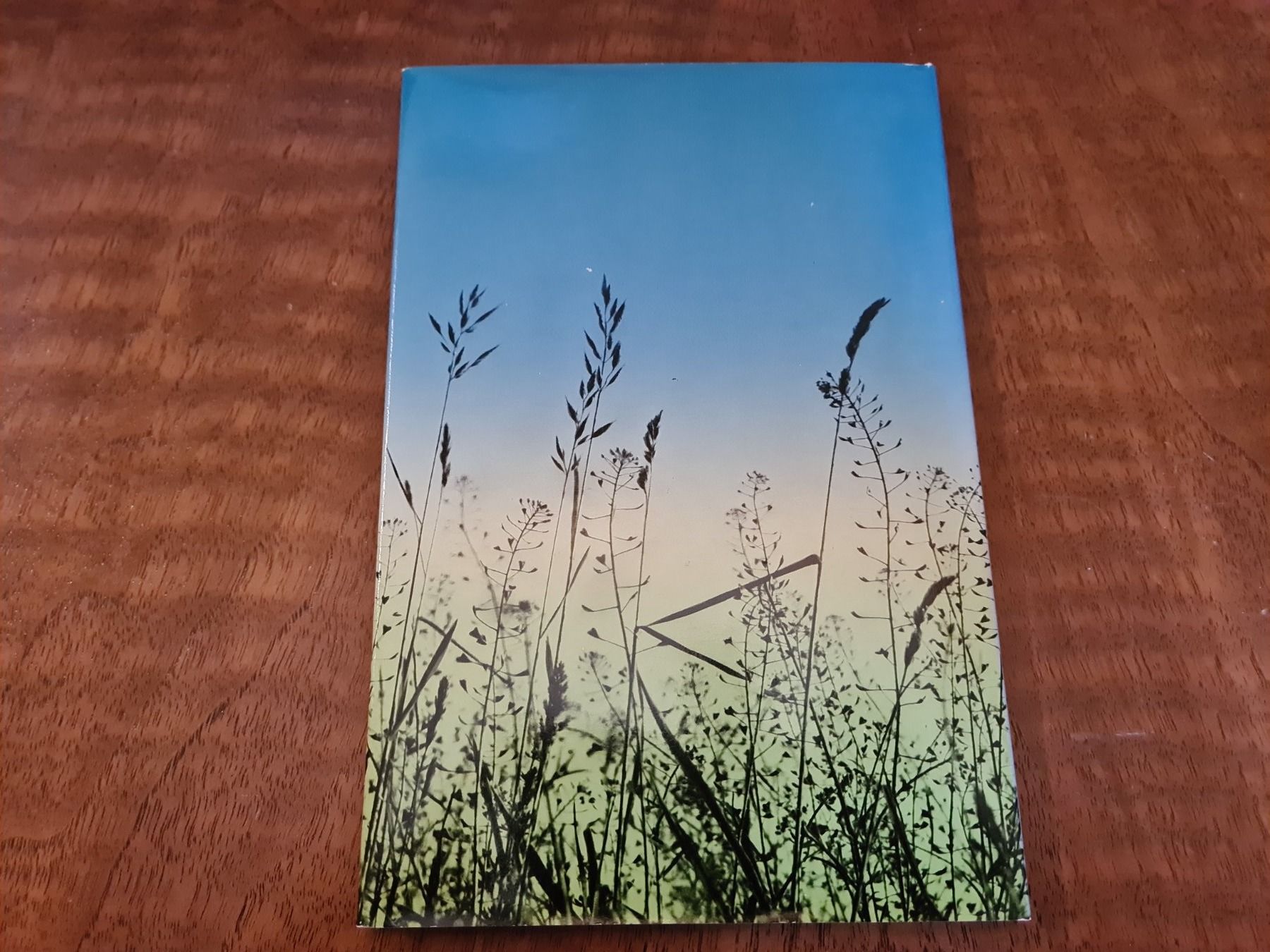 Libri: Gräser, Wind und Wolken – Usato da Erstfeld venduto da Uhu1980 3