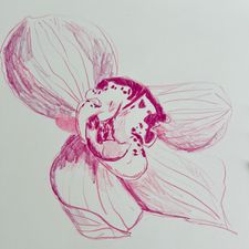 Profile image of Tess_2022