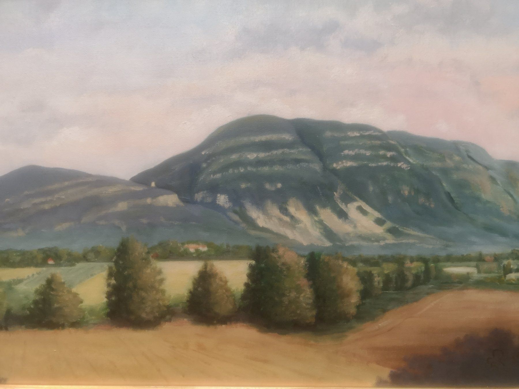 Gemälde: HUILE SUR TOILE SIGNÉE RIGAUD DATÉE 97 – Gebraucht aus Genève von Qanil77 1