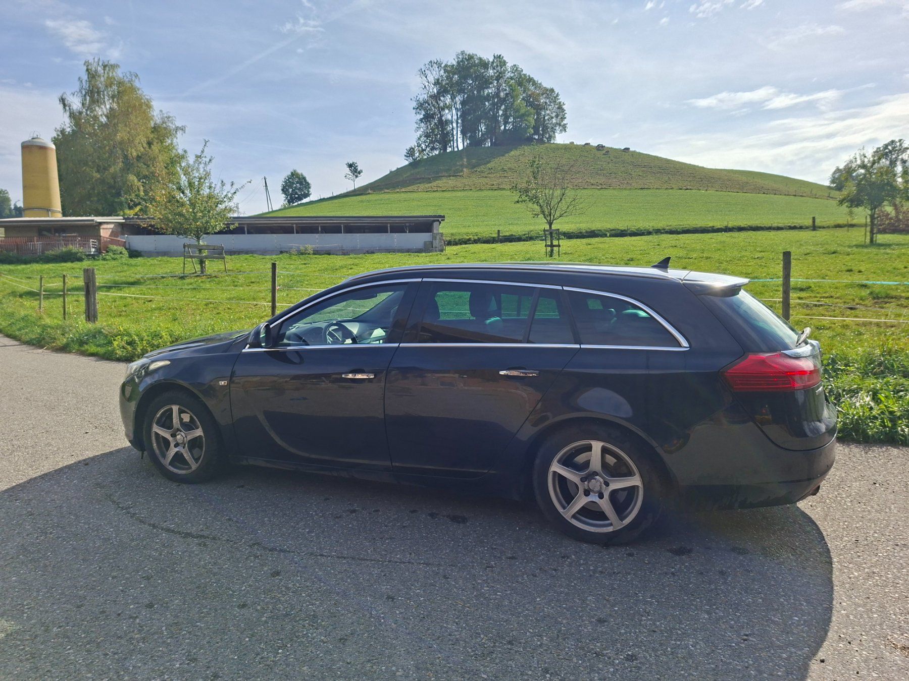 Opel Automobili: Opel Insigna A 20 T – Usato da Ettiswil venduto da ManuelaH01 2