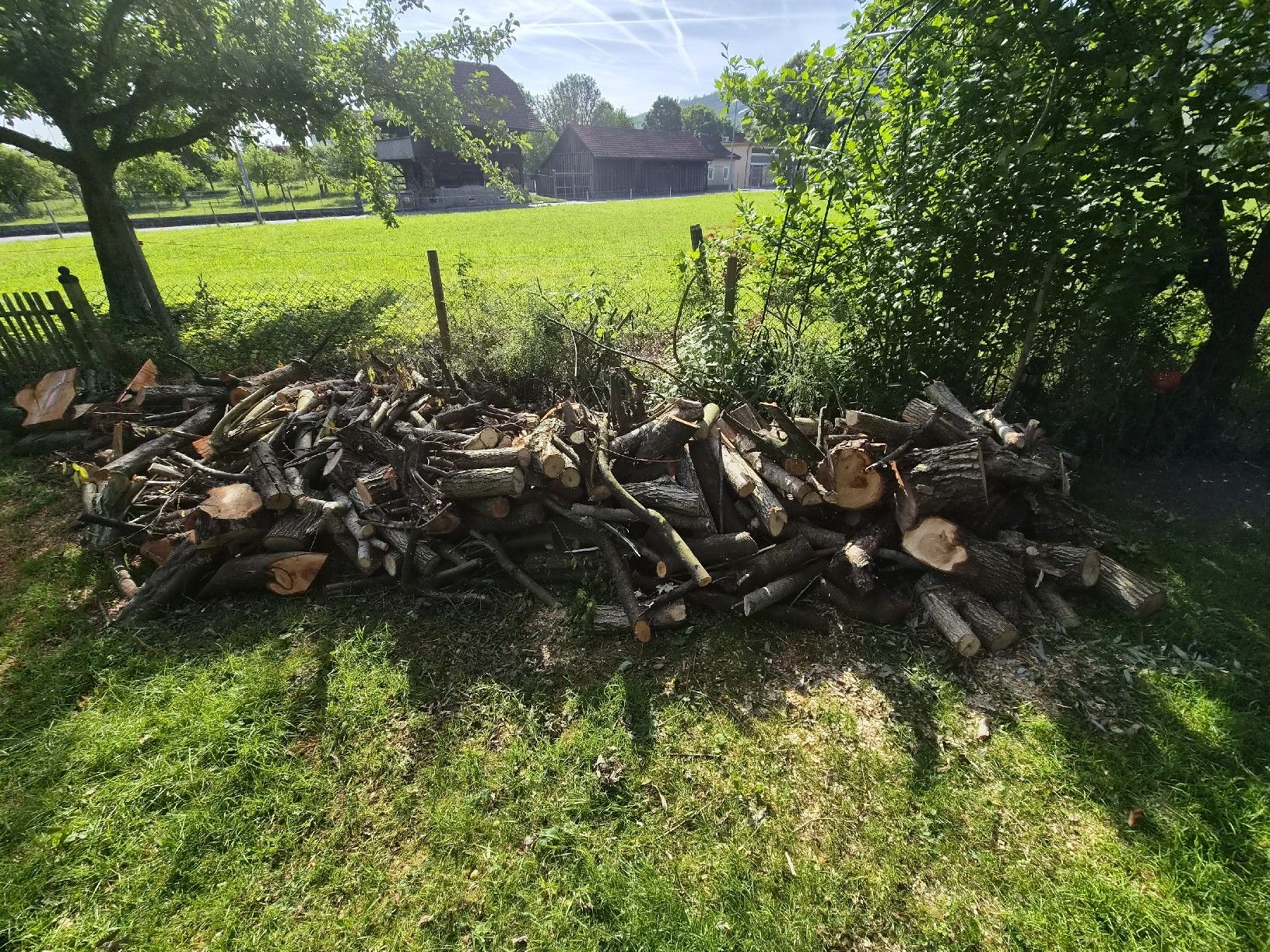 Articoli in legno: Brennholz zu verkaufen – Usato da Hägendorf venduto da Effye