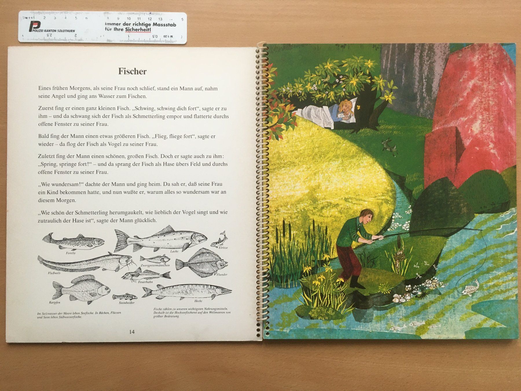 Libri: Wasser und Flut – Marlene Reidel – Usato da Grenchen venduto da Kogi7 5