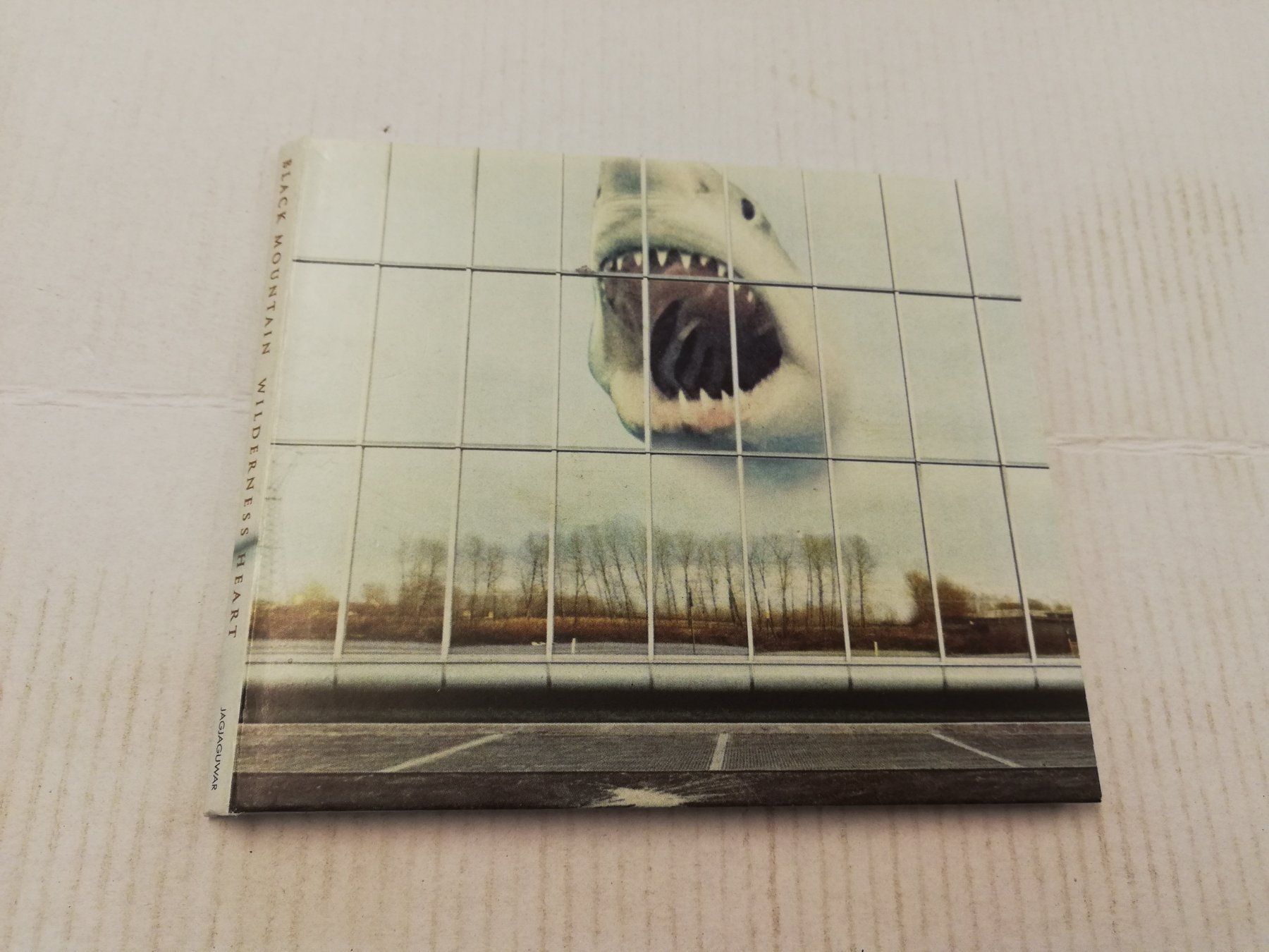 CD: BLACK MOUNTAIN - WILDERNESS HEART – Usato da Bern venduto da Vinylsound.ch