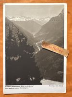 1932 CH-Nationalpark, blick ins Livignotal, Val Livigno
