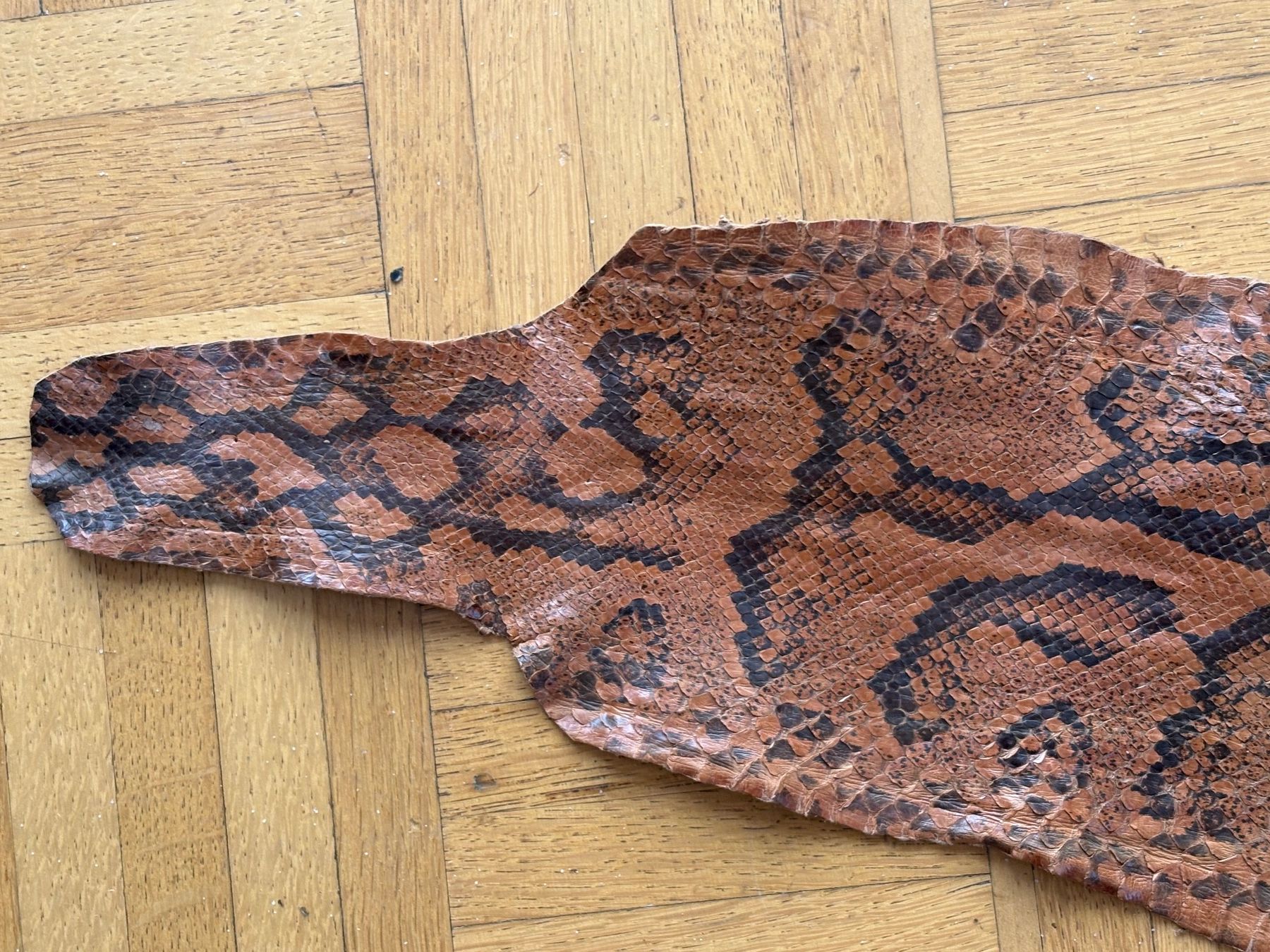 Chaussures femmes: Echtleder Schlange braun Grösse ca 255 cm,Python – D'occasion à Frick par Rukki 3