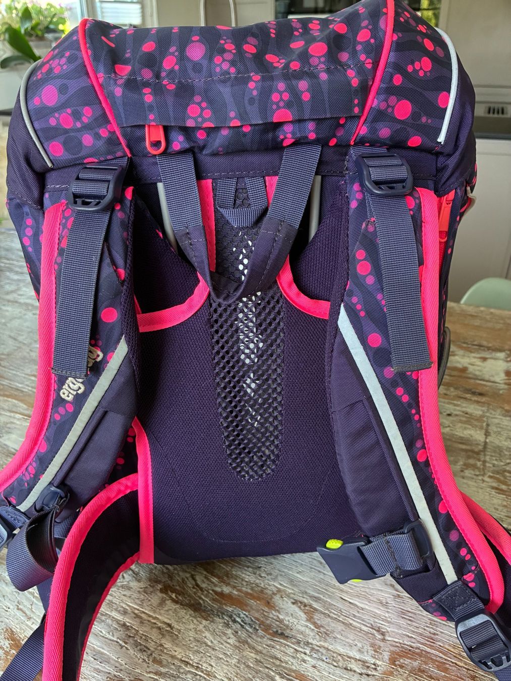 Ergobag Borse & Zaini: Ergobag Mädchen – Usato da Recherswil venduto da nicolep0316 1