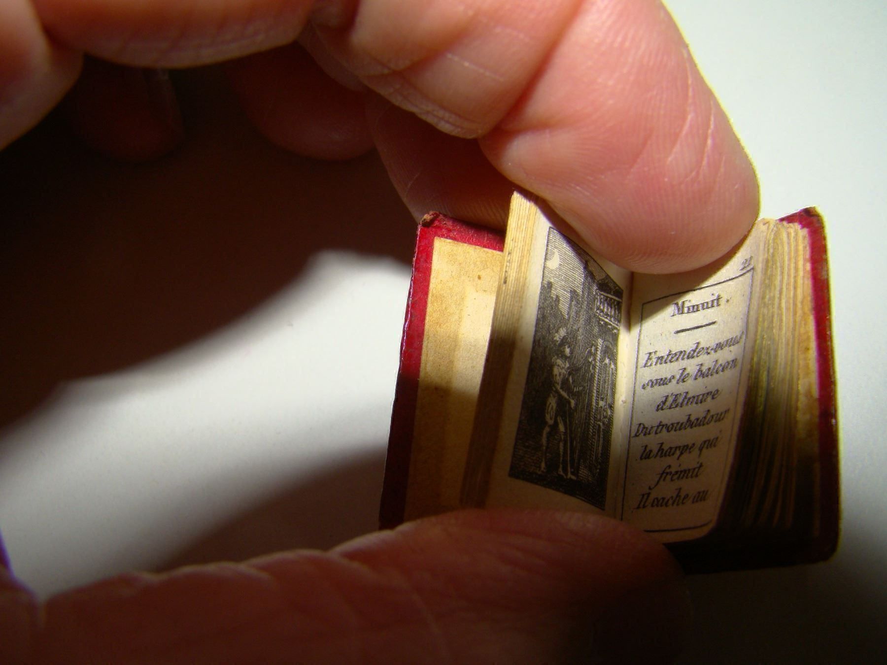 Bücher: Kleines Buch Maroquin Leder, Goldschnitt – Gebraucht aus Näfels von gil_sindamel 3