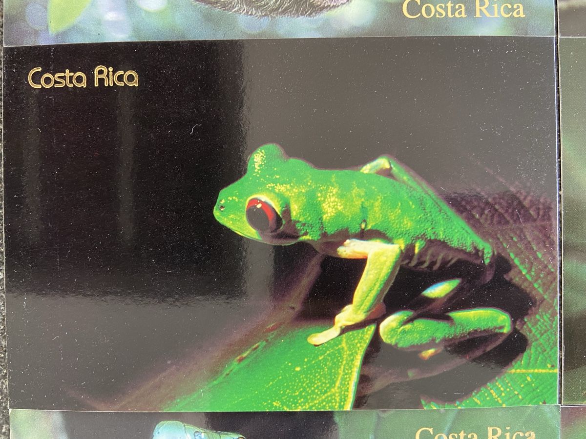 Ansichtskarten: 6 Postkarten Tiere Costa Rica – Neu (gemäss Beschreibung) aus Schwarzenburg von Aha016 3