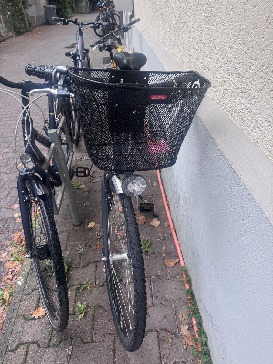 Velos: Damenvelo – Gebraucht aus Bern von IndiaJL 1