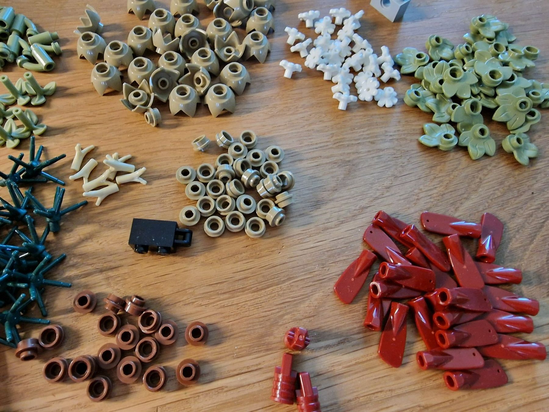 Lego Jeux de construction: Lego Set "Dried Flower Centrepiece" 10314 – D'occasion à Menzingen par vwchaeferli 3