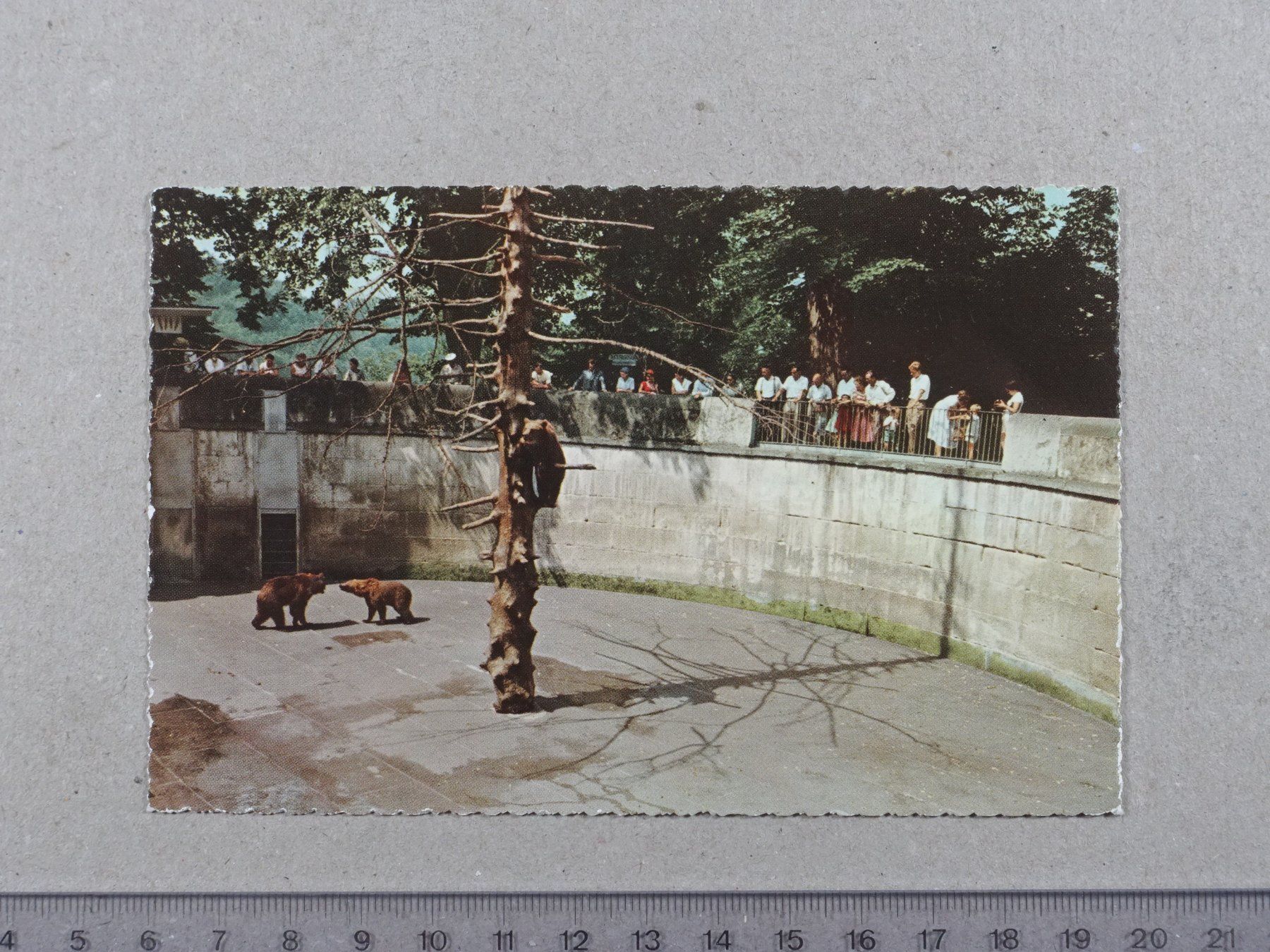 Cartoline postali: Bern, Bärengraben, belebt – Usato da Lenzburg venduto da fh1