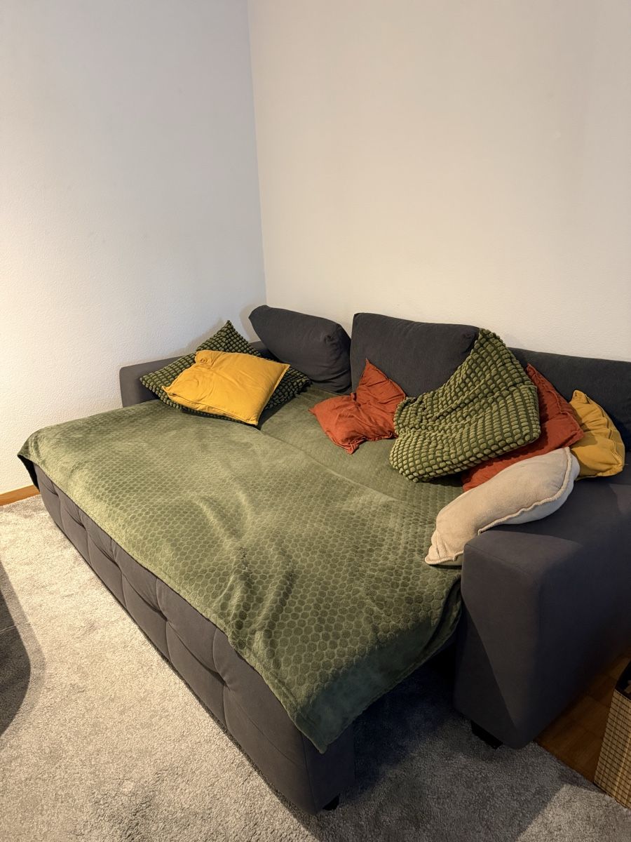 Divani: Sofa – Usato da Bergdietikon venduto da sim_rg8v 2