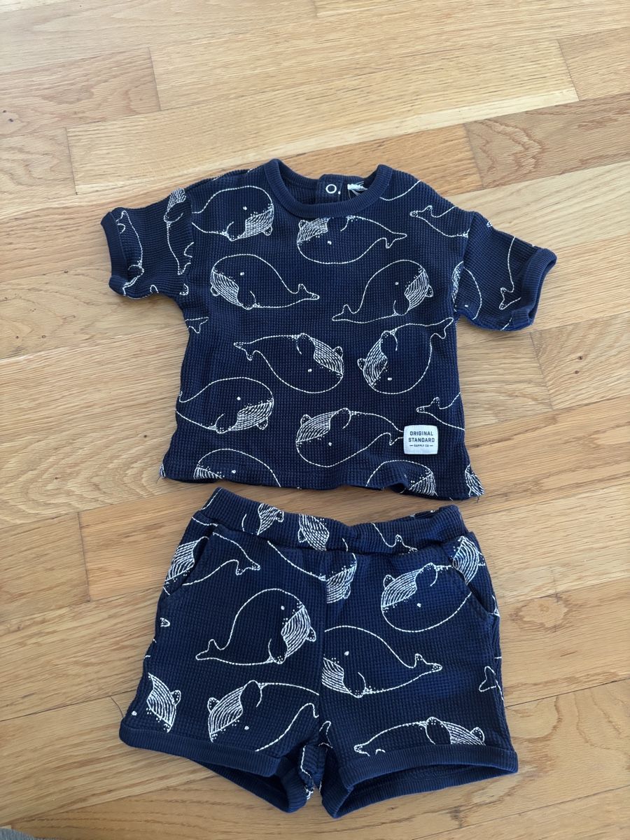 H&M Lotti & Set di vestiti: H&M Set Grösse 68 – Nuovo (secondo la descrizione) da Lyss venduto da Prinzess99