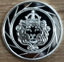 10 x 1/2 Unze Sottsdale Silbermünzen .999