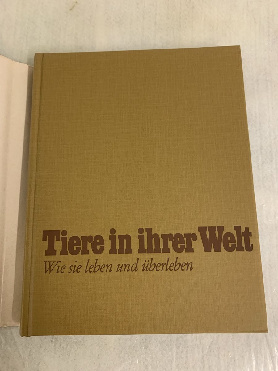 Libri: Tiere in ihrer Welt - Illustriertes Buch – Nuovo (secondo la descrizione) da Erlenbach ZH venduto da Ritschly 3