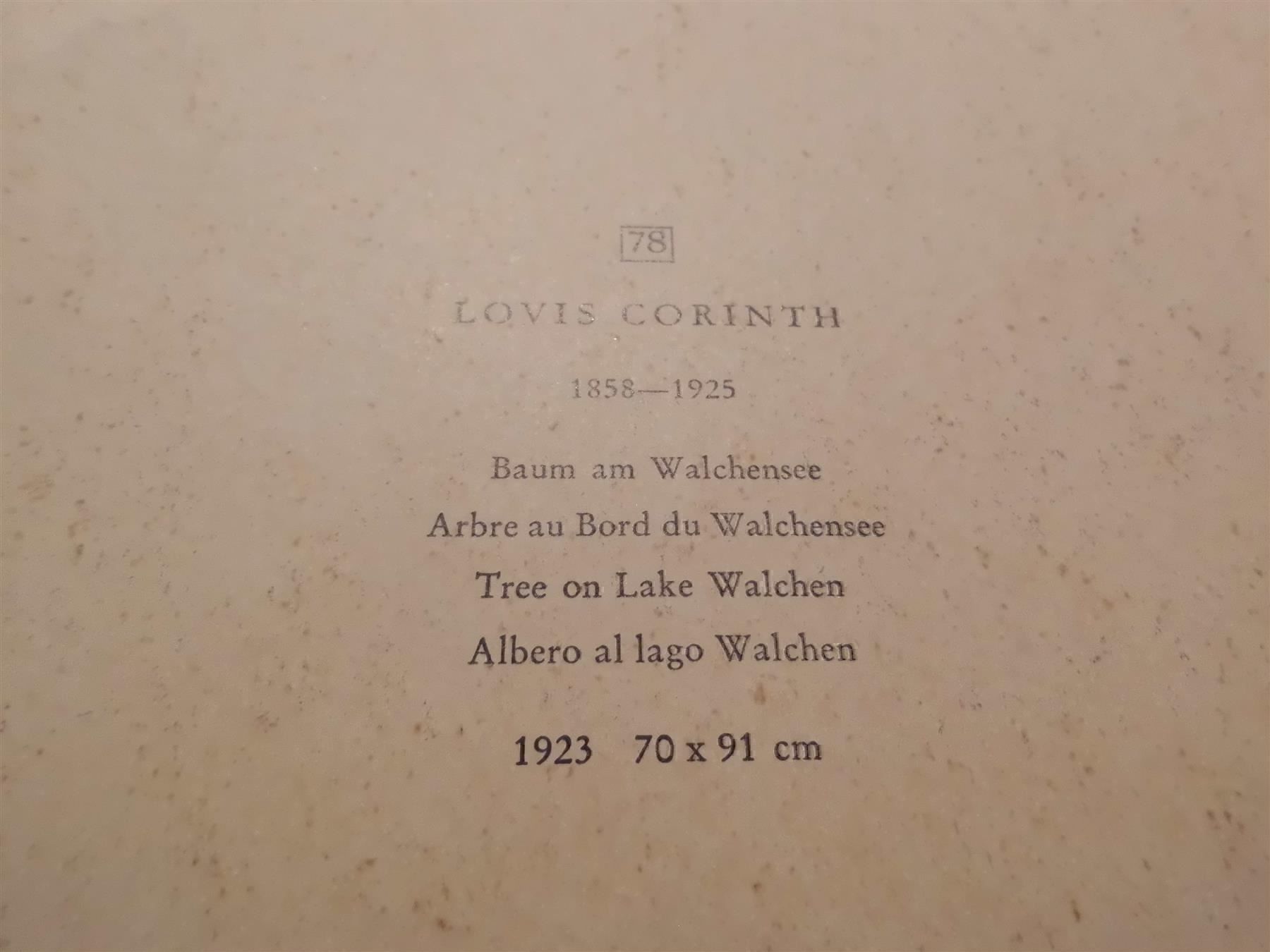 Poster & Bilder: Kunstdruck, Baum am Walchensee, Louis Co – Gebraucht aus Zürich von Motzkuh 1