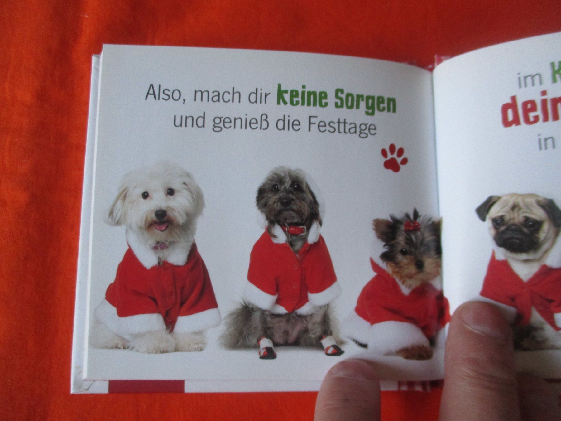Libri: Buch Mopsfidele Weihnachten – Usato da Birsfelden venduto da alles-muss-raus 2