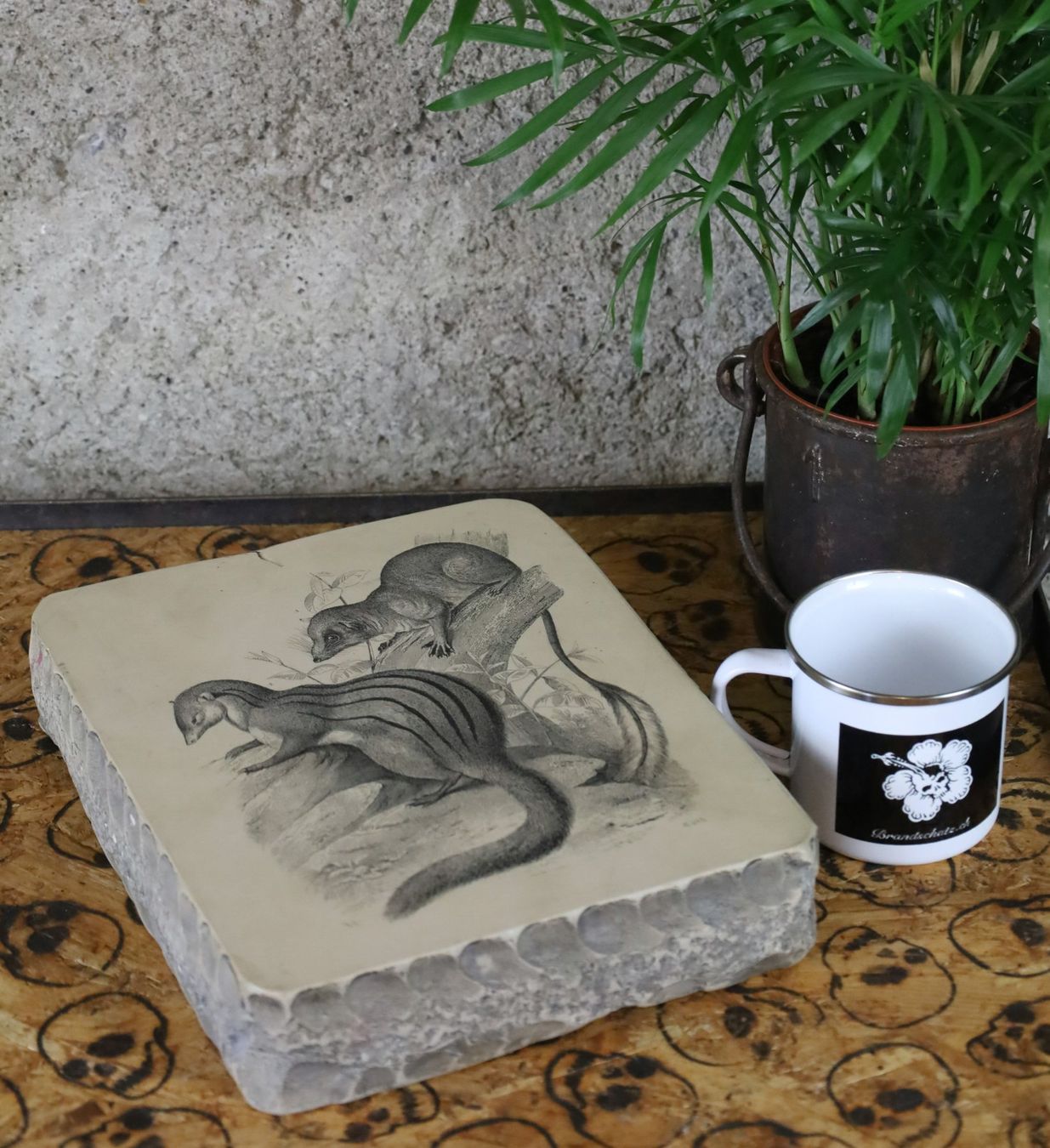 Grafica & Litografie: Lithographiestein "Gestreiftes Wiesel, Federschwanz" – Usato da Birrwil venduto da brandschatz_birrwil