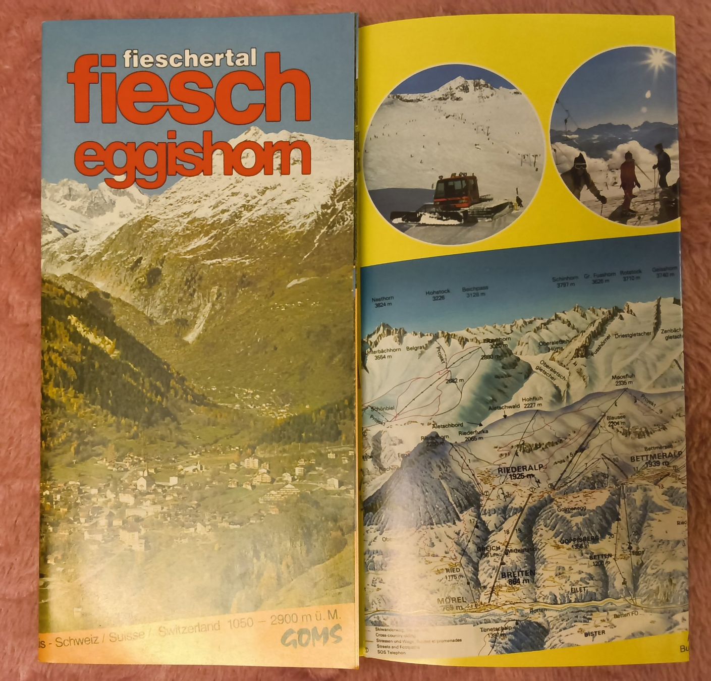 Documenti: Konvolut 8 ältere Prospekte Oberwallis – Usato da Hallau venduto da histoiremerveilleuse 1