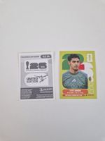 Panini Sticker ALG14