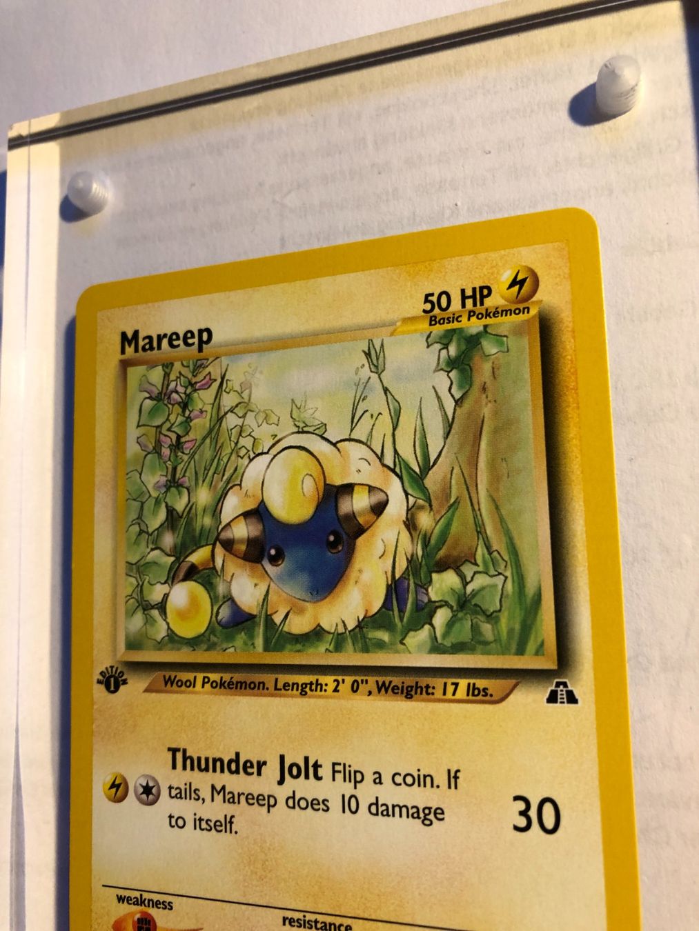 Carte collezionabili: Mareep 1st Neo Discovery - MINT - ab 1.- – Usato da Giubiasco venduto da dan_pr8b 3