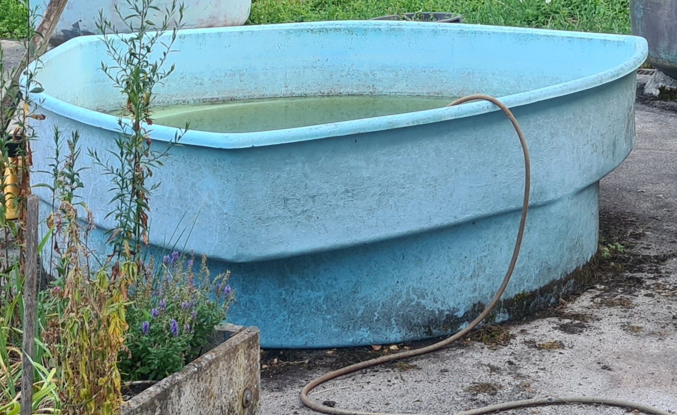 Piscines: Teich Biotop Regenwasserbecken – D'occasion à Villigen par mir_8jrr