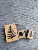 Perlenfischer Set Natur