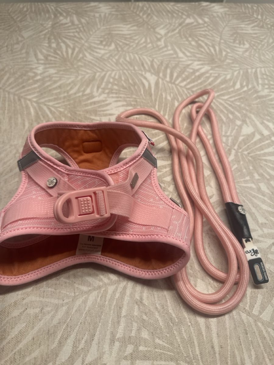 Guinzagli & Collari: Curli harness and leash set  – Usato da Meinisberg venduto da KristinaaL