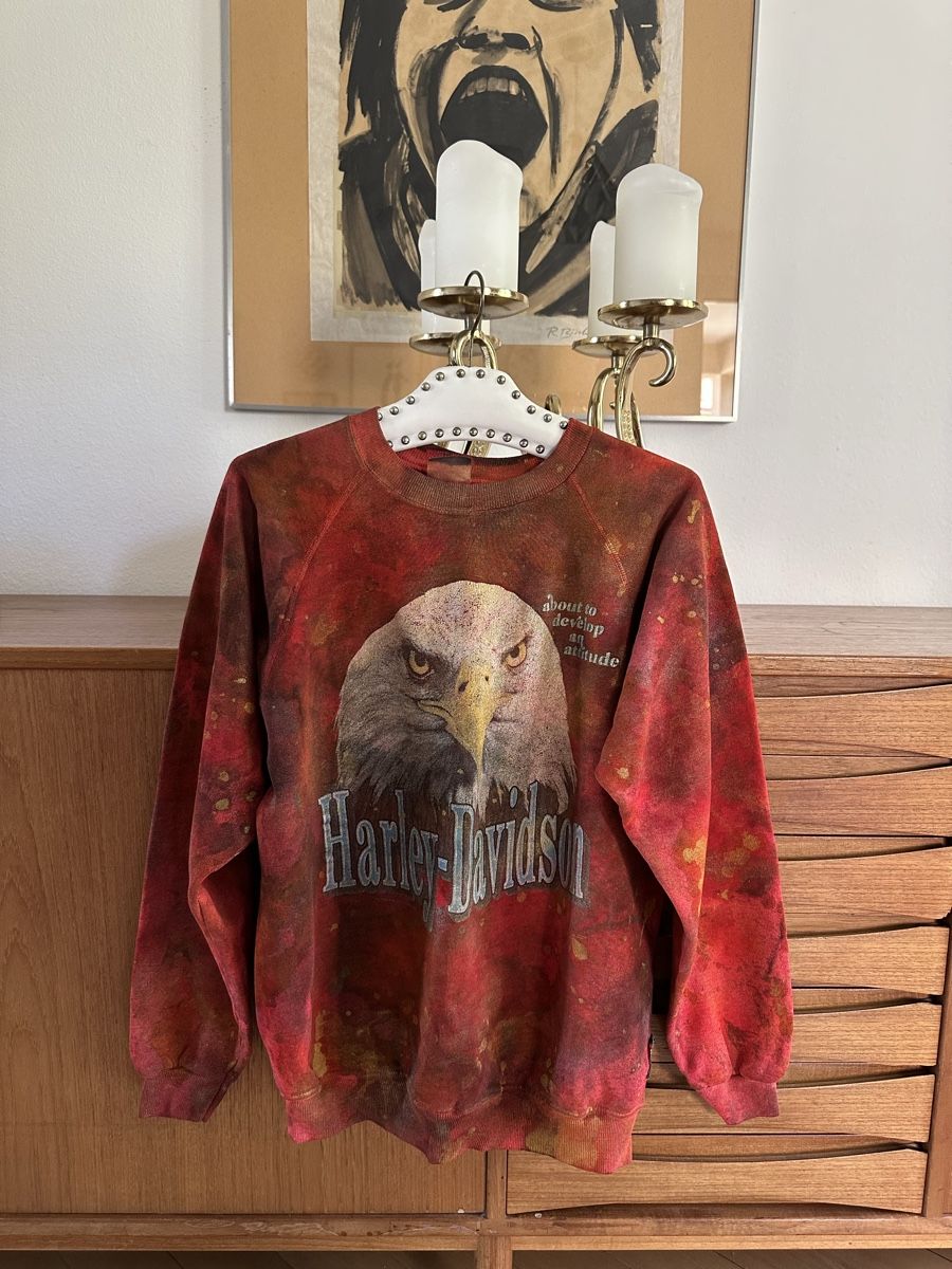 Pullover & Sweatshirts: Vintage Harley Davidson Pullover M-L – Gebraucht aus Zürich von PuraVida111