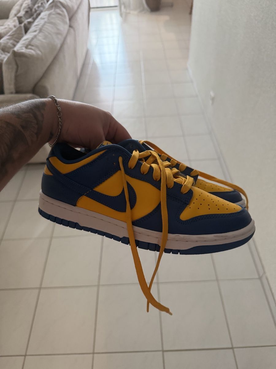 Nike Scarpe da uomo: Nike Dunk Low – Usato da Bulle venduto da mon_lv9v 2
