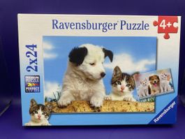 Ravensburger Puzzle 2x24 Teile Haustiere neuwertig
