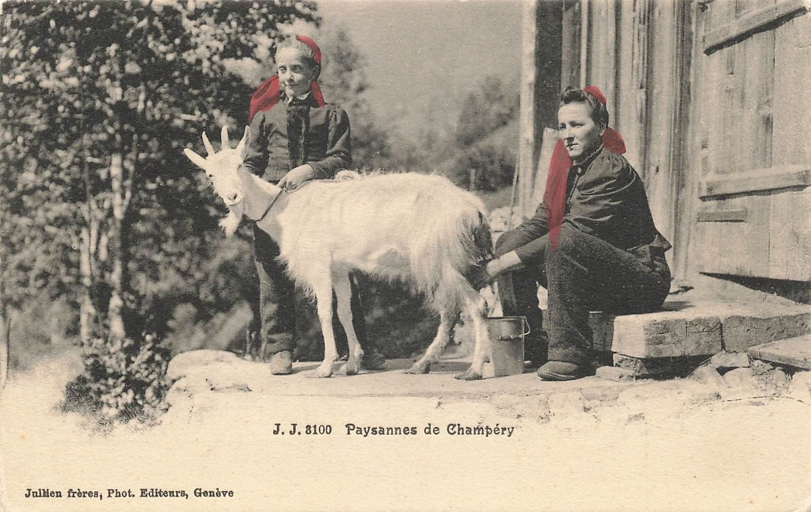 Cartoline postali: Paysannes de Champery – Usato da Schwyz venduto da Seffi56