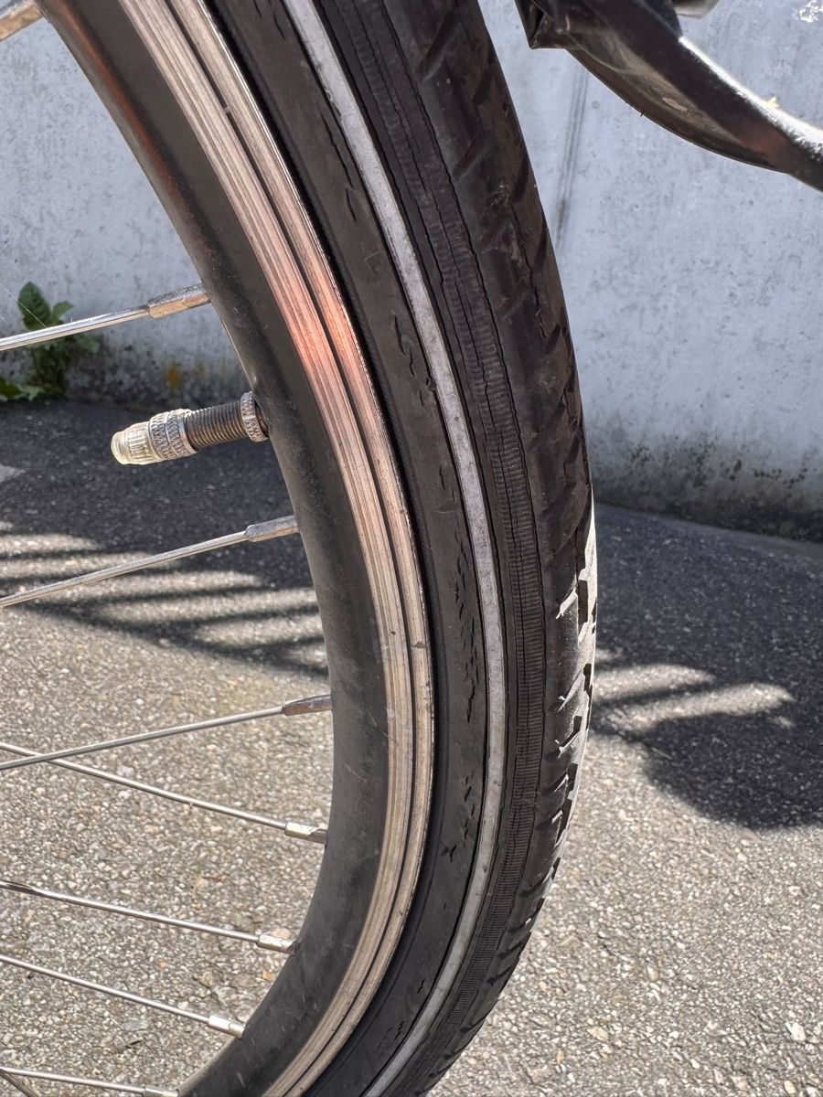 Biciclette: E-Bike Tegernsee  – Usato da Schaanwald venduto da Super113 6