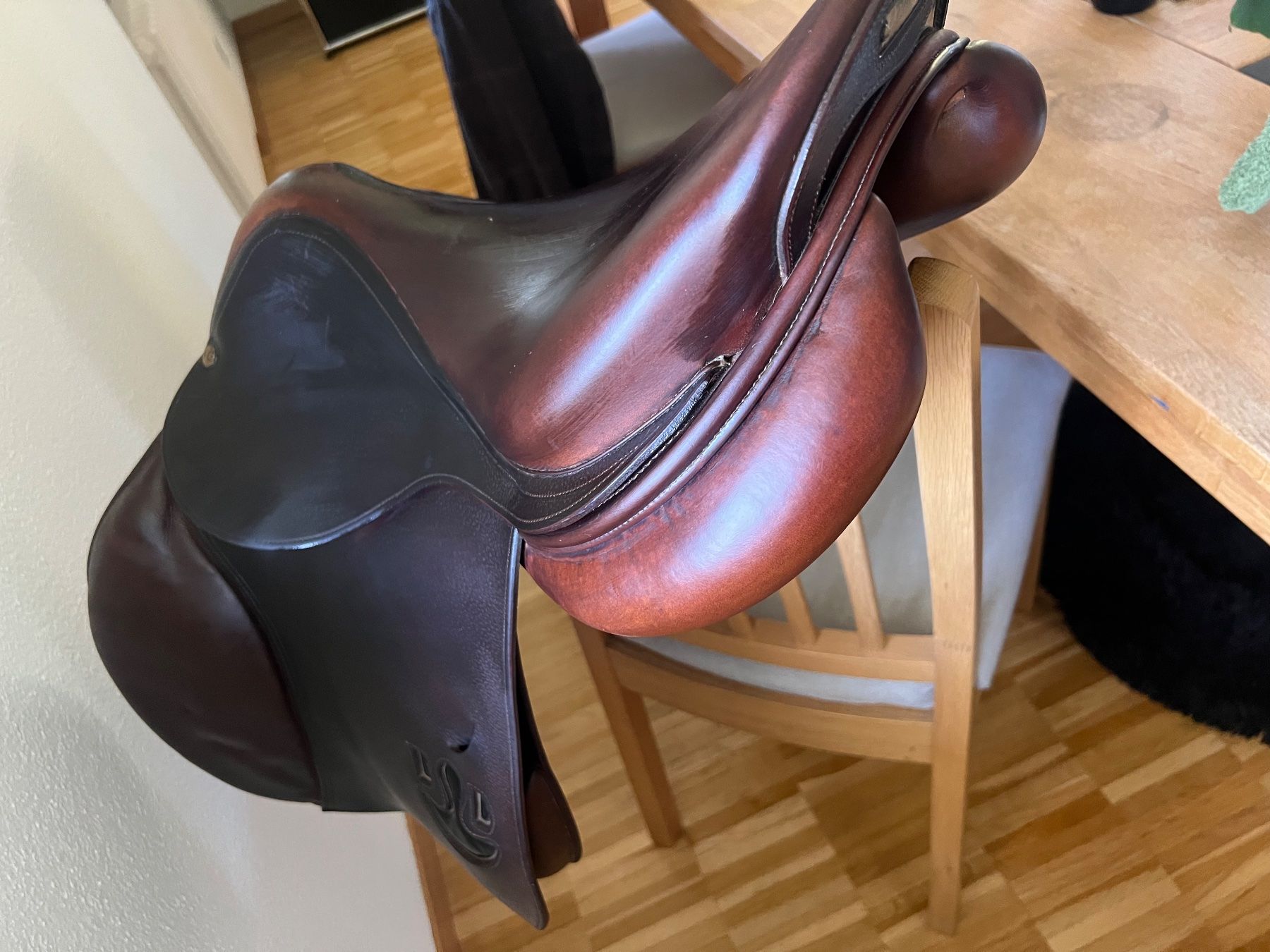 Selle & Accessori: Delgrange Sattel Springsattel – Usato da Maur venduto da DSH112358 3