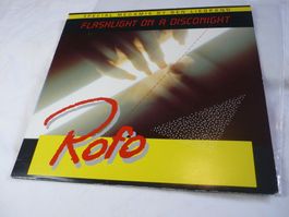 12" Vinyl Italo Disco - Rofo - flashlight on a disconight