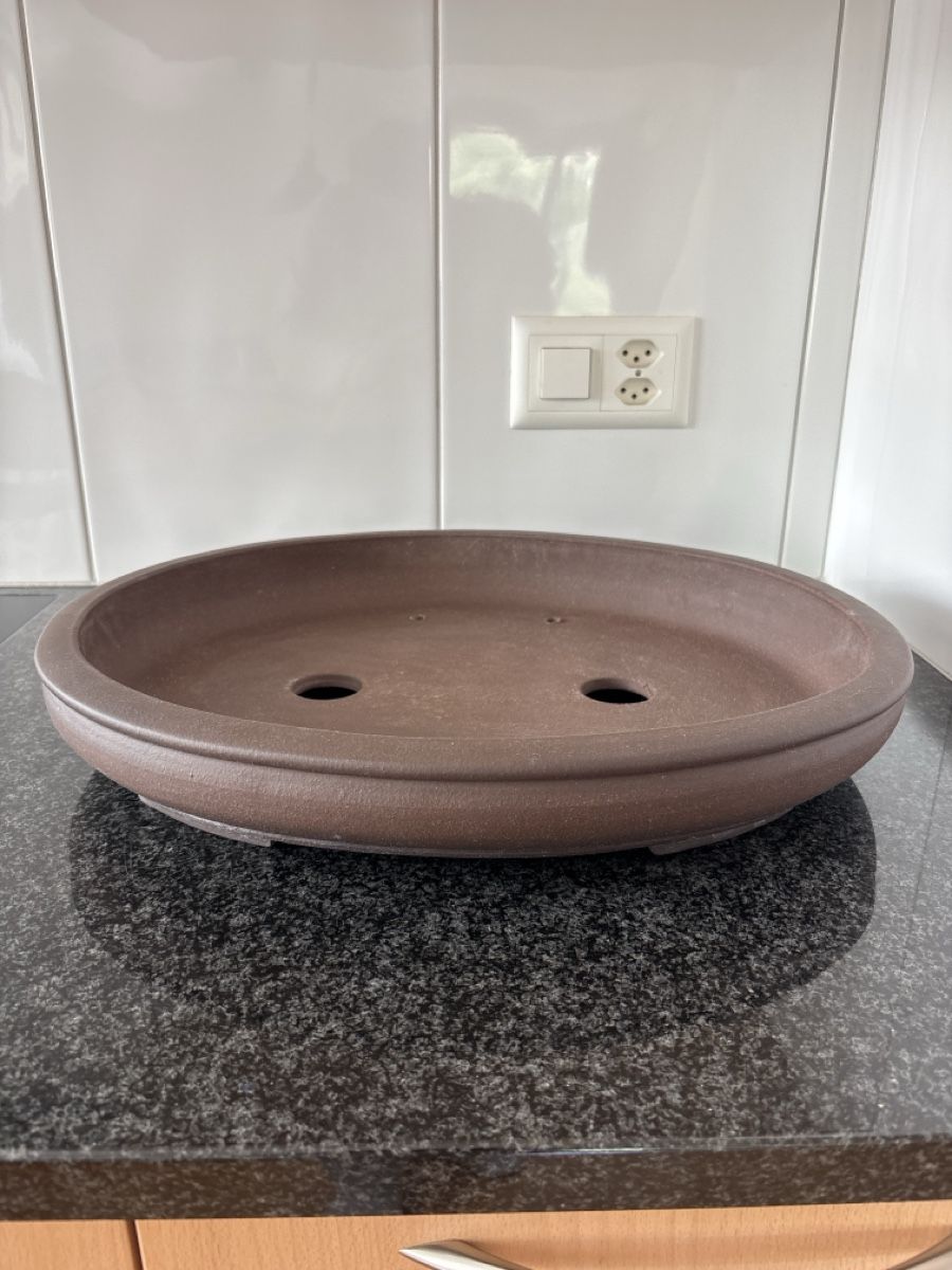 Plantes & graines: Bonsaischale – D'occasion à Herisau par men_9hwl