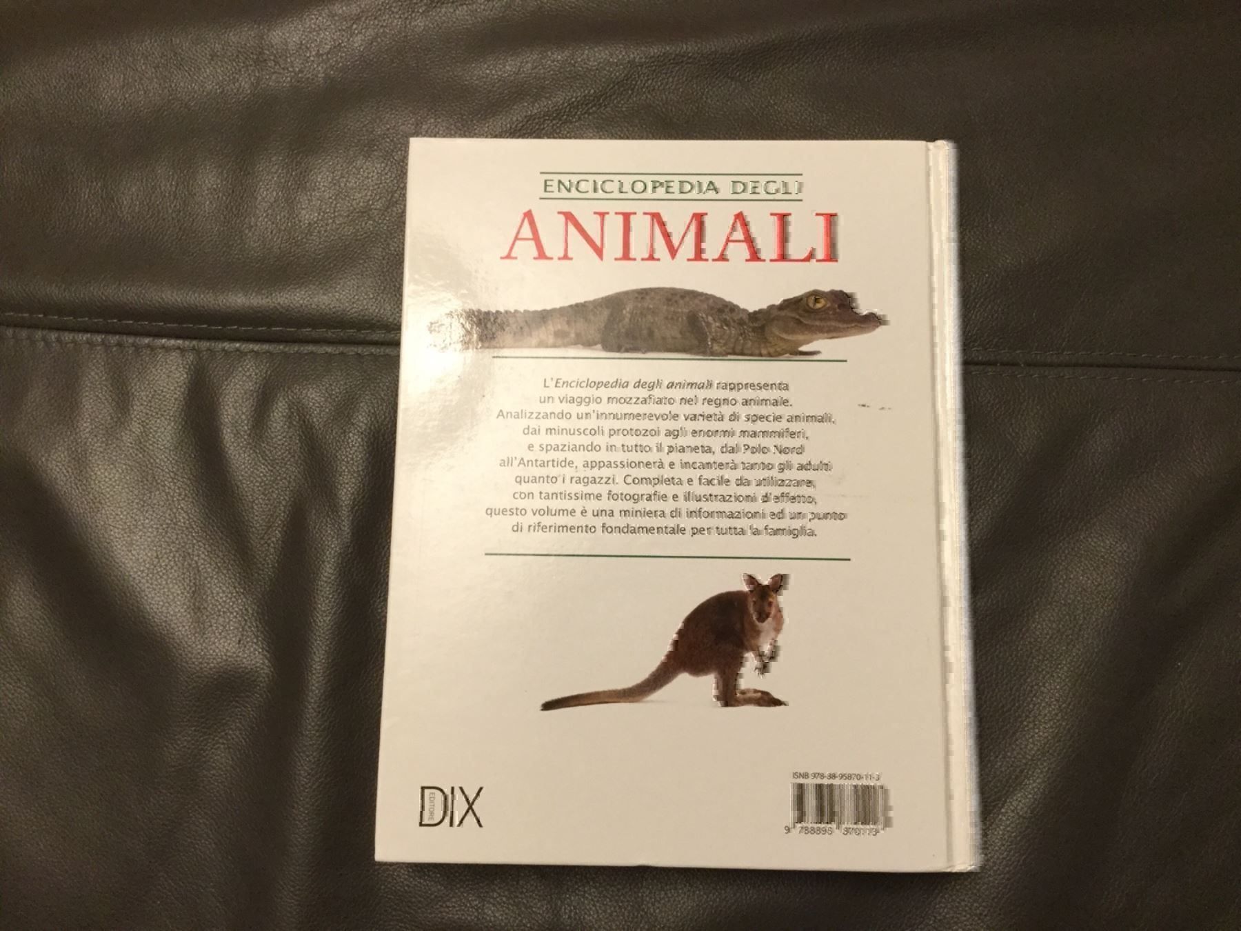 Libri: Enciclopedia degli animali – Usato da Horw venduto da Benny017 1