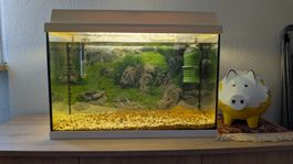 Acquario 60 litri