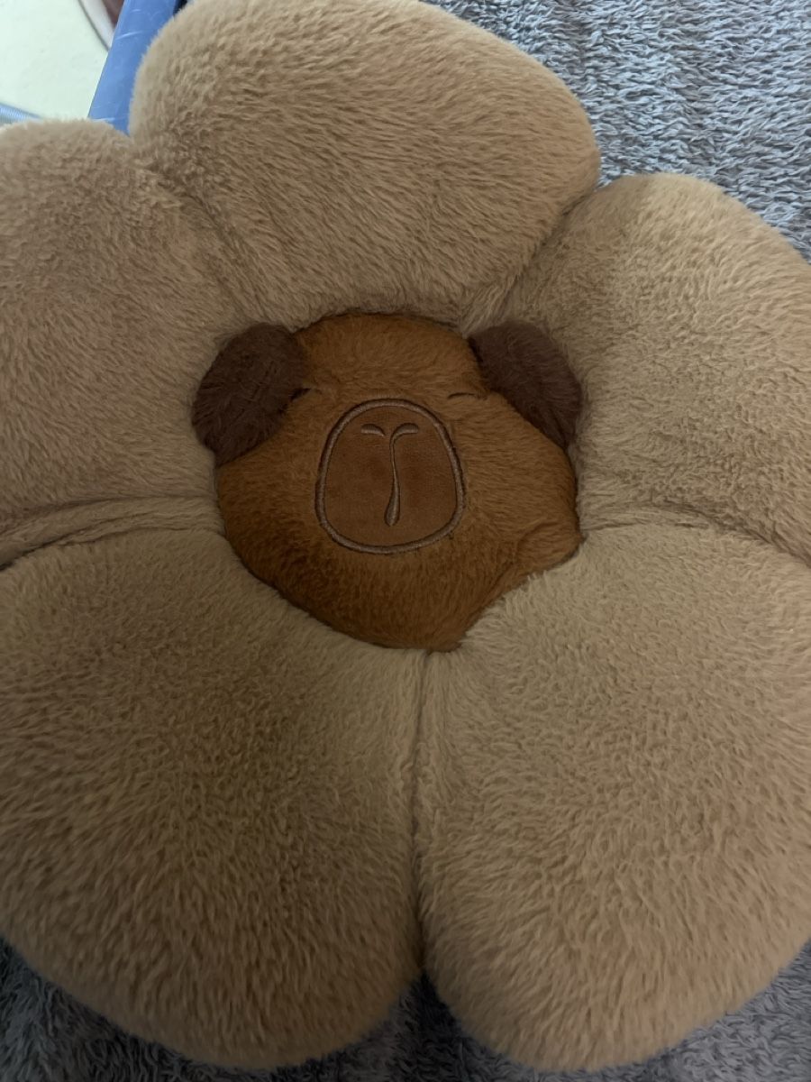 Jouets: Plüschtiere capybara – D'occasion à Laufen par Nachlasverkauf 2