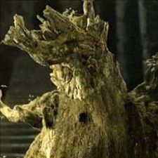 Profile image of Mr_Tree