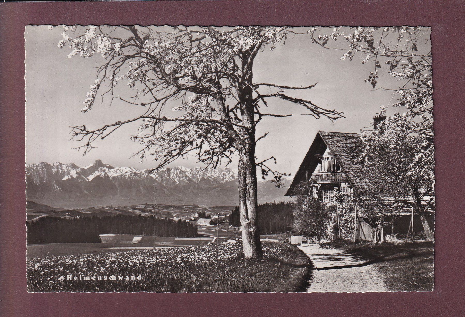 Ansichtskarten: HEIMENSCHWAND - 1953 – Gebraucht aus Pully von nicecards