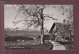 HEIMENSCHWAND - 1953