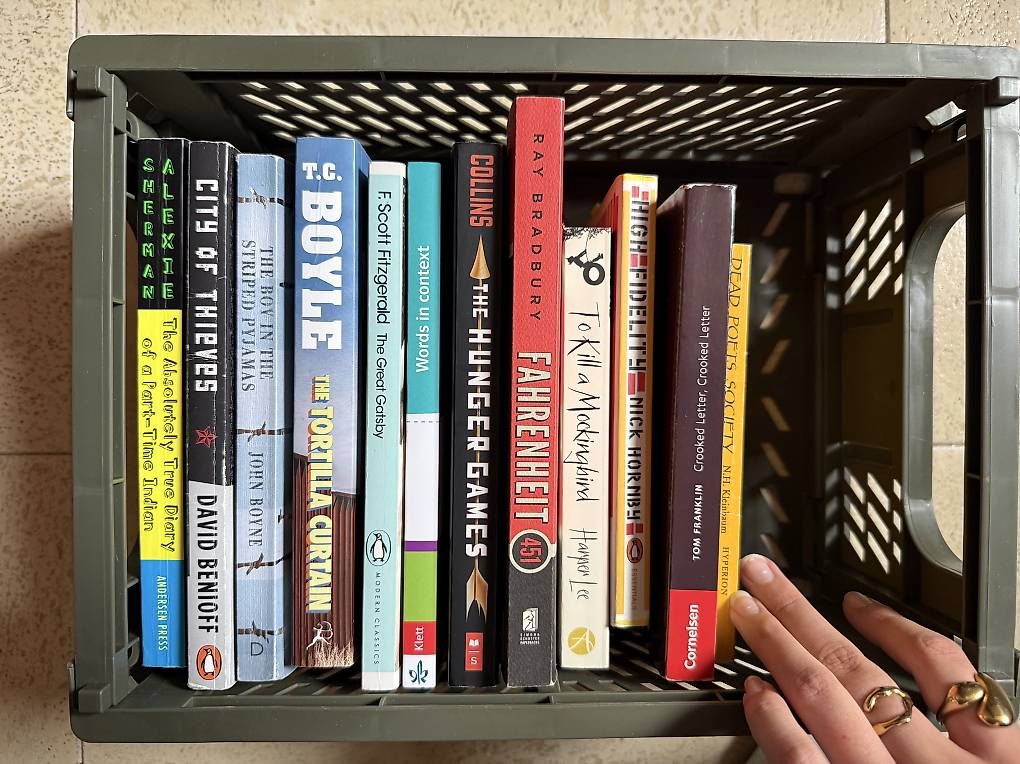 Libri: Englisch Bücher, pro Stück 7 CHF – Usato da Sarnen venduto da ale_7ph7 1