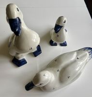 Enten Delft Holland