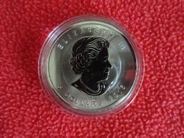 Silbermünze Kanada Maple Leaf 5 Dollars 2016 - Elizabeth II