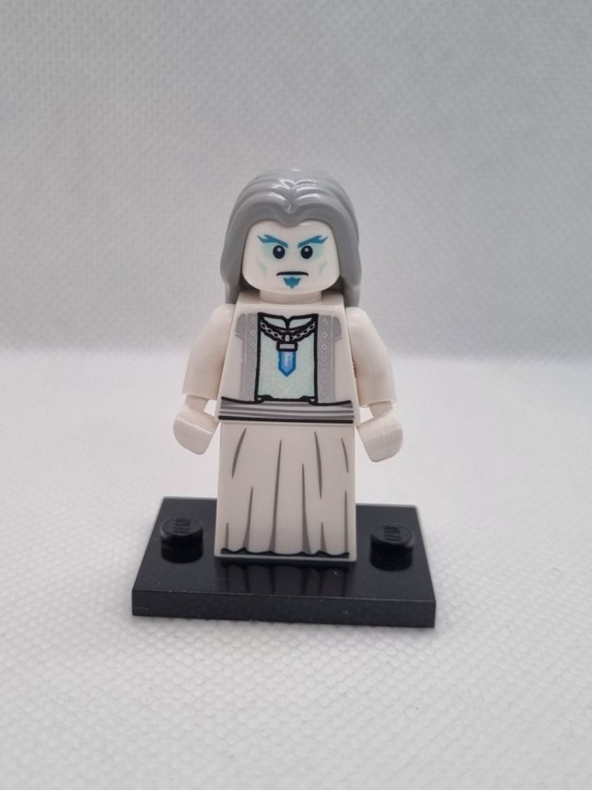 Lego Kit di costruzioni: LEGO BAM 2020 hol209 Ice King – Nuovo (secondo la descrizione) da Basadingen venduto da NekoBricks