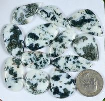 Cabochon Set L-3427 – Baum Achat 12 Stück 230 Karat