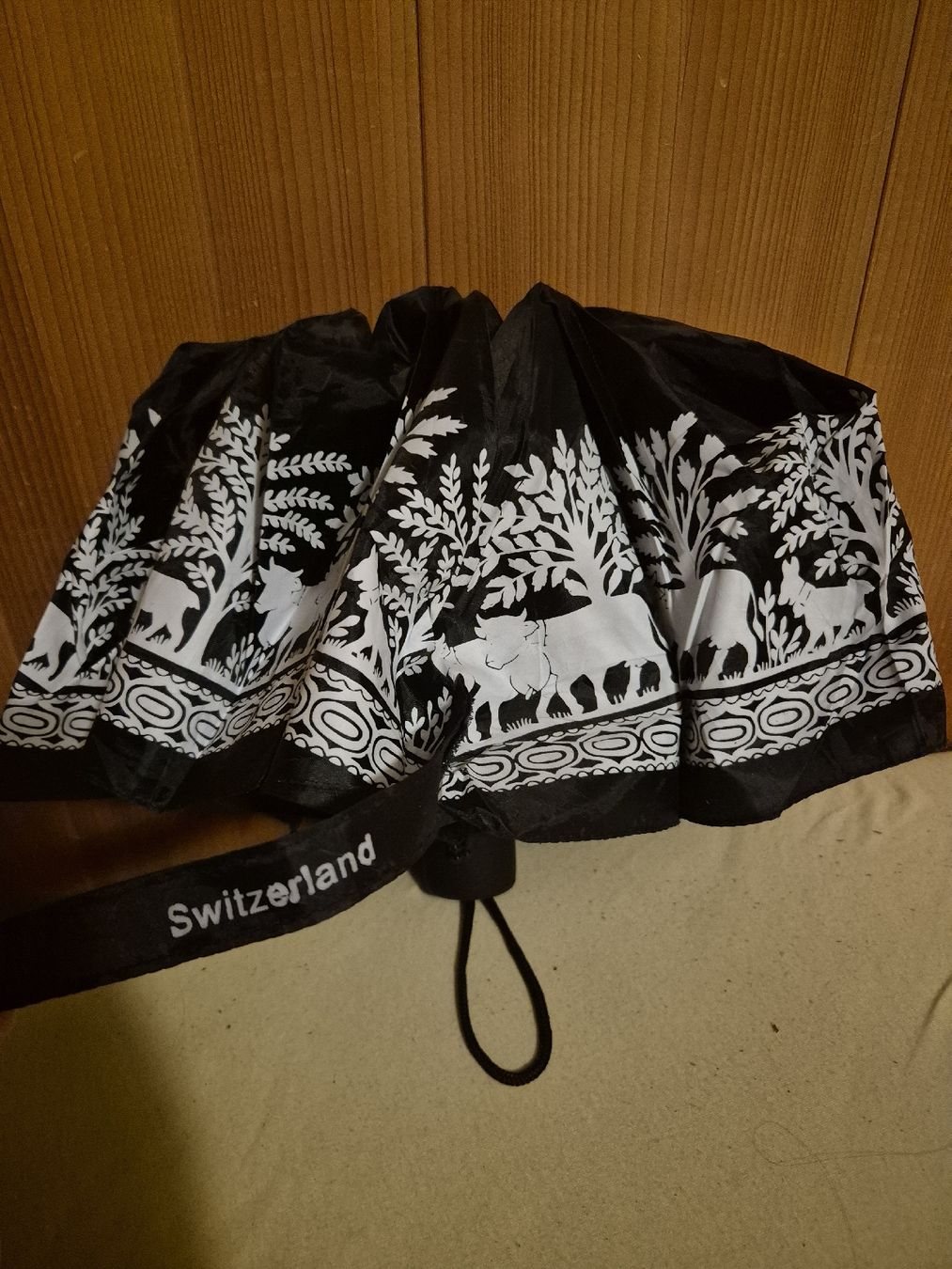 Ombrelli: Schöner Taschenschirm mit Schweizer Motiv – Usato da Mürren venduto da daniela_sch_96