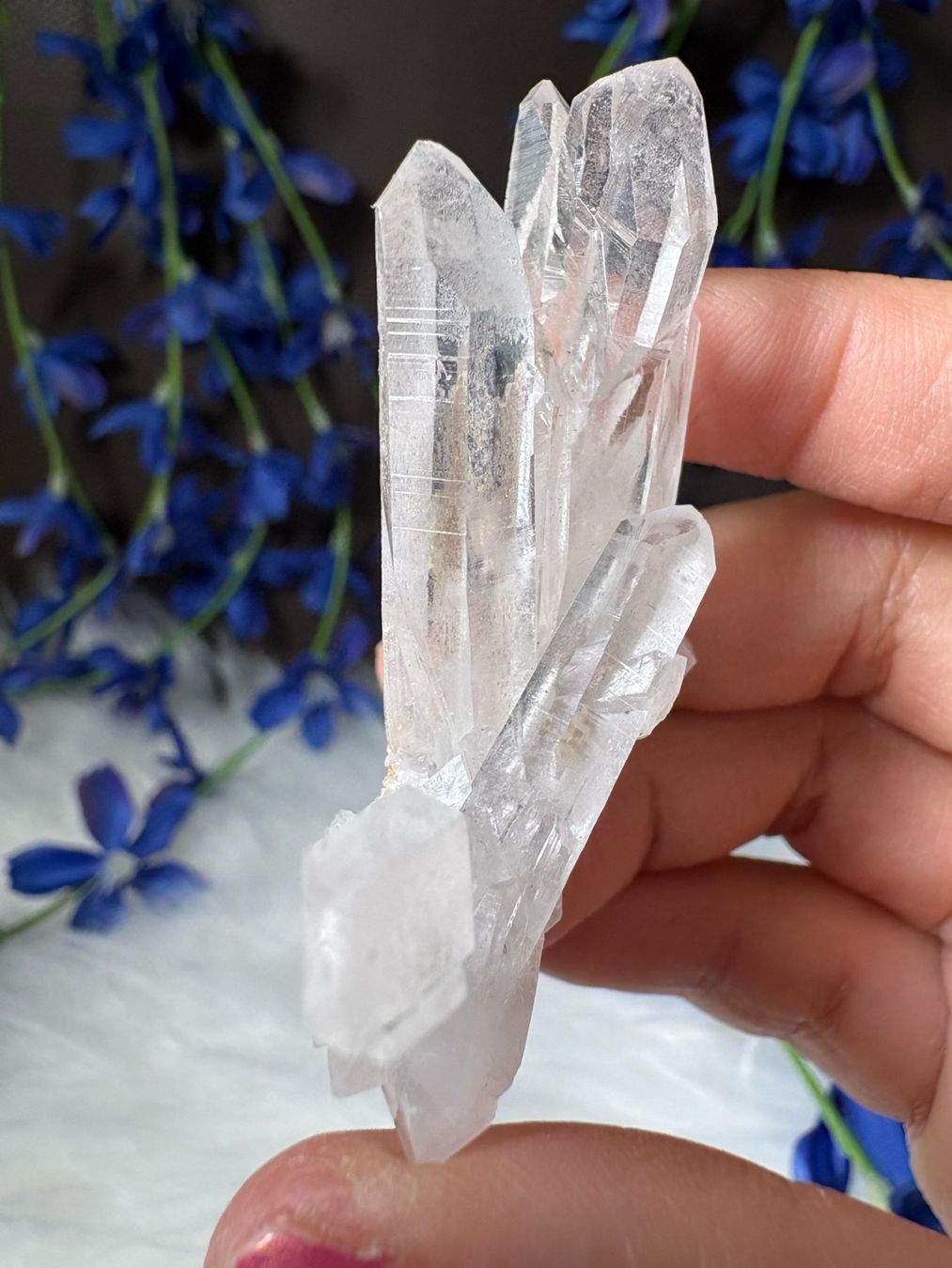 Minerali & Pietre curative: Kolumbianischer Lemurian-Quarz-Cluster – Nuovo (secondo la descrizione) da Neuheim venduto da m.hald 3